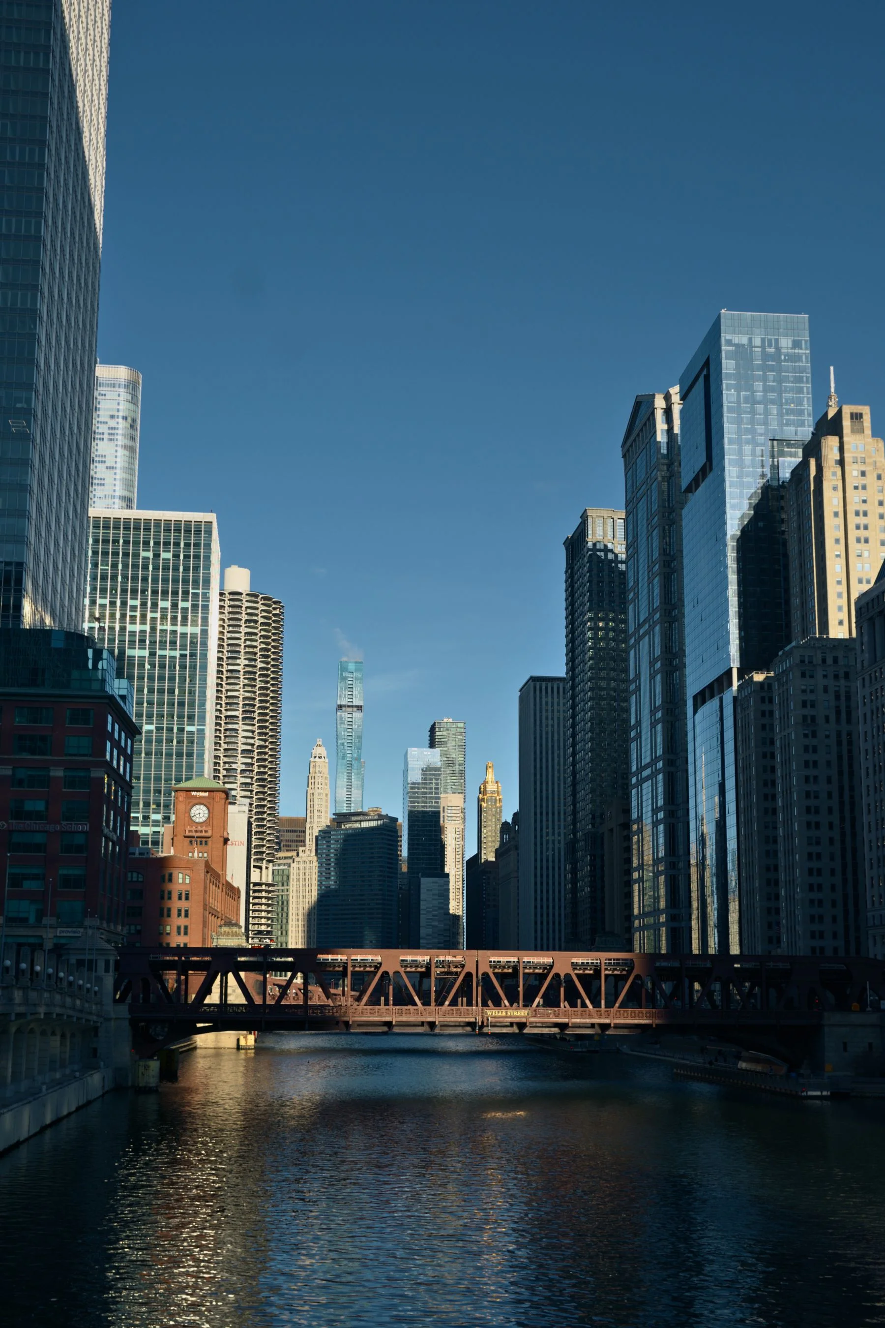 Chicago River cityscape